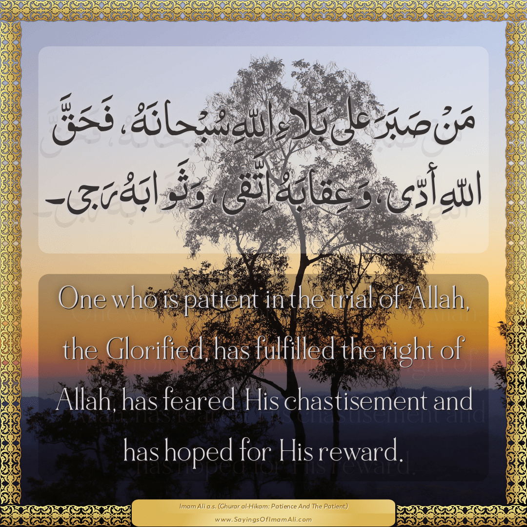 One who is patient in the trial of Allah, the Glorified, has fulfilled the...